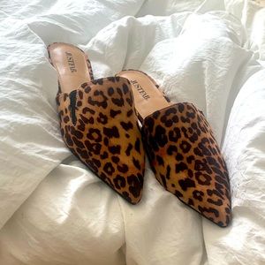 Brand NEW flats